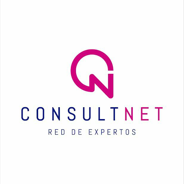 consultnetsrl